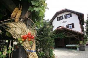 Turistična kmetija Frank - Ozmec